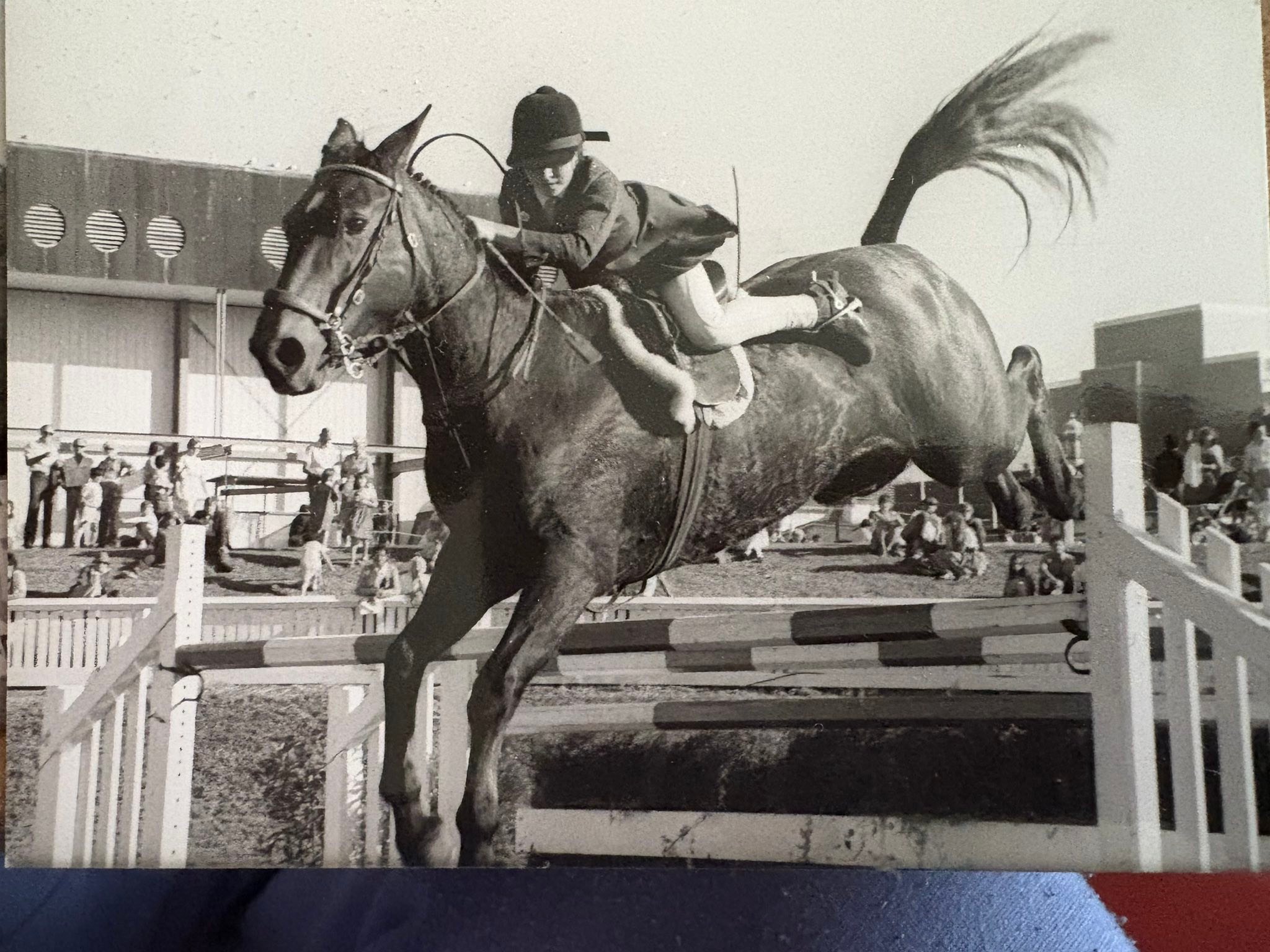 FLASH BACK: 1980's - Vicky... - New Zealand Equestrian Scene | Facebook