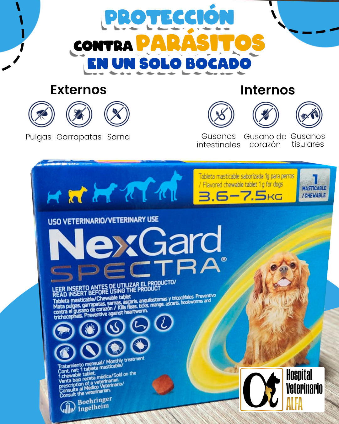 Veterinaria - ¡Protege a tu peludo por dentro y por fuera! 🐾💪 Con ...