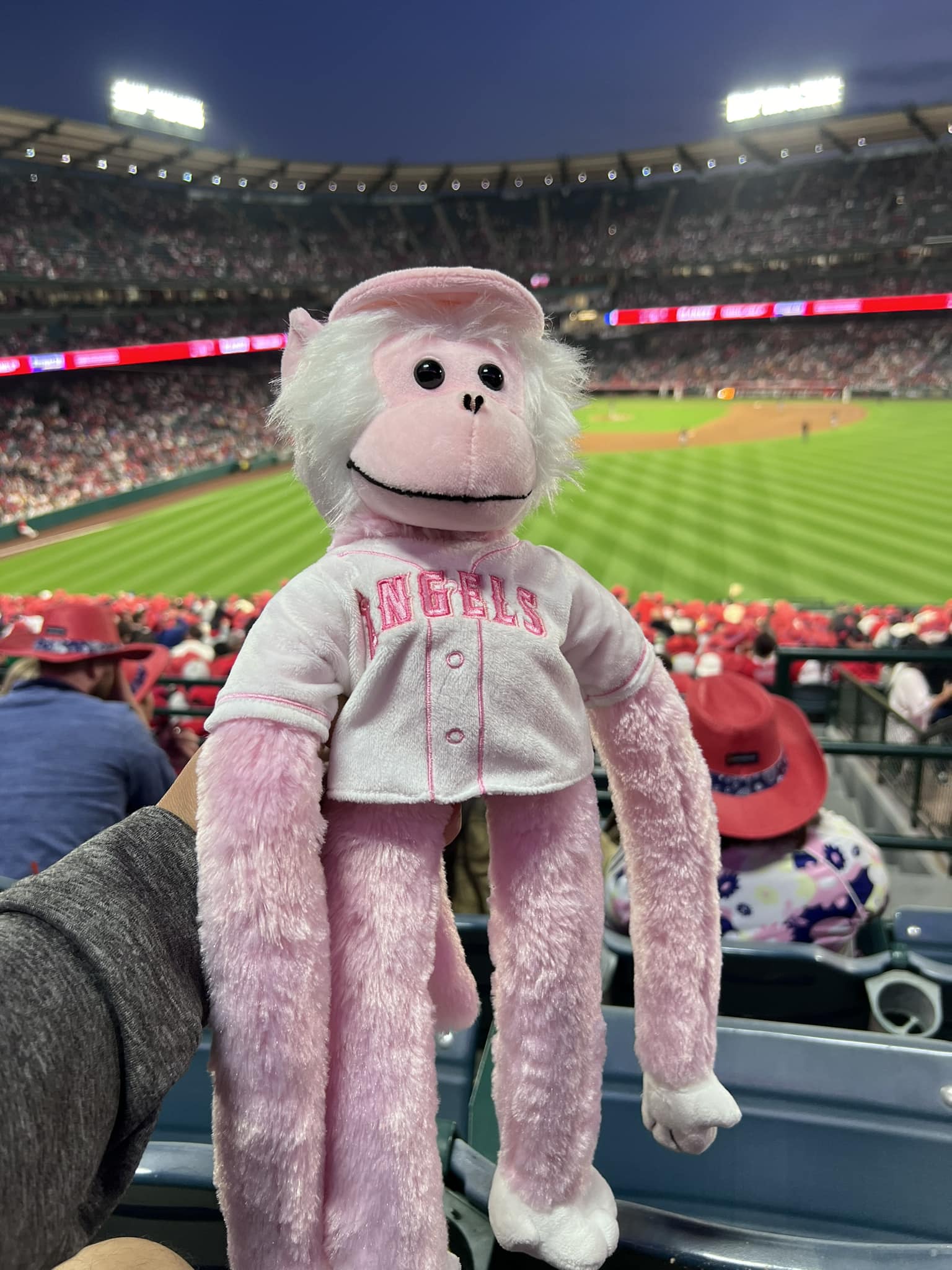MLB公式 Angels球場購入 ラリーモンキー 🐒😇⚾️ You can find these Rally Monkeys and much more at the