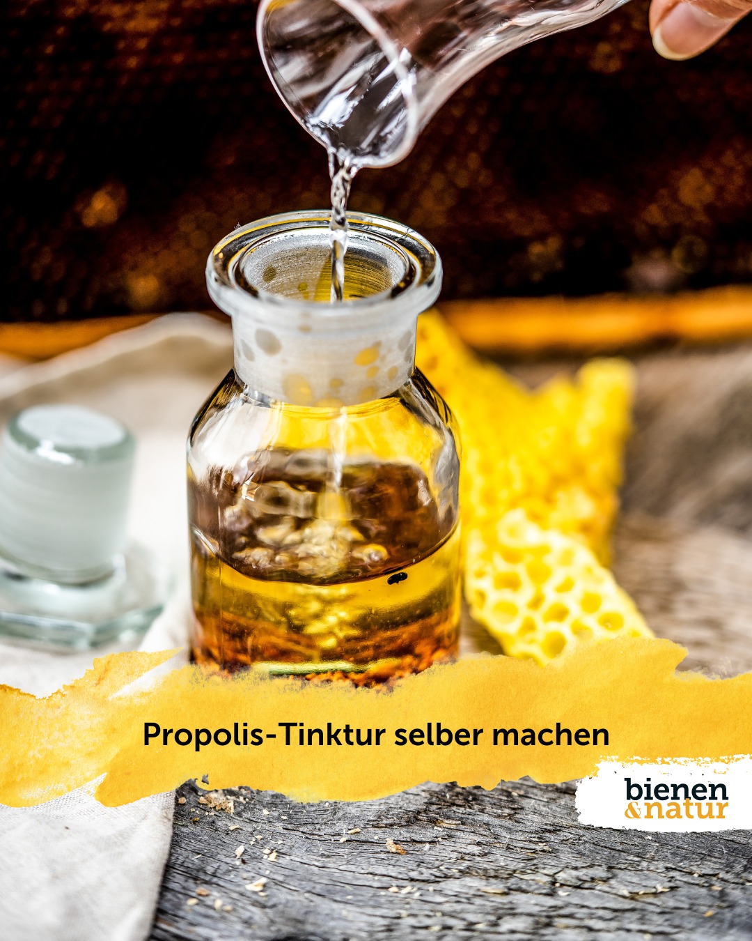 Propolis Tinktur Selber Herstellen