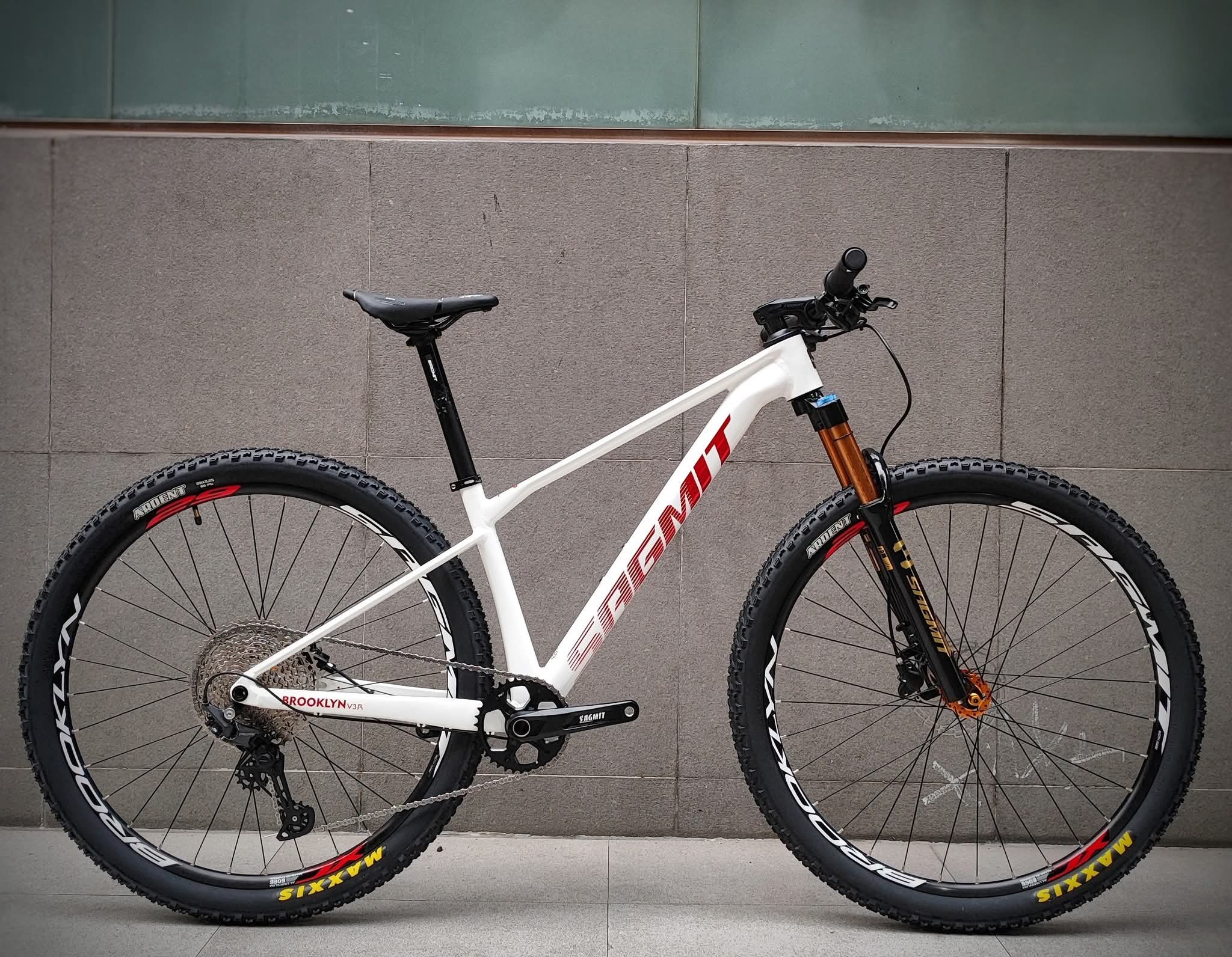 AJ'S - 🎁Price: 24,999 Quick Specs: Sagmit V3R Frame Thru axle 29er (s/m ...