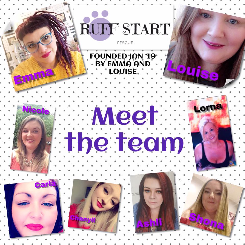💜 MEET THE TEAM 💜 Long overdue... - Ruff Start Rescue UK CIC | Facebook