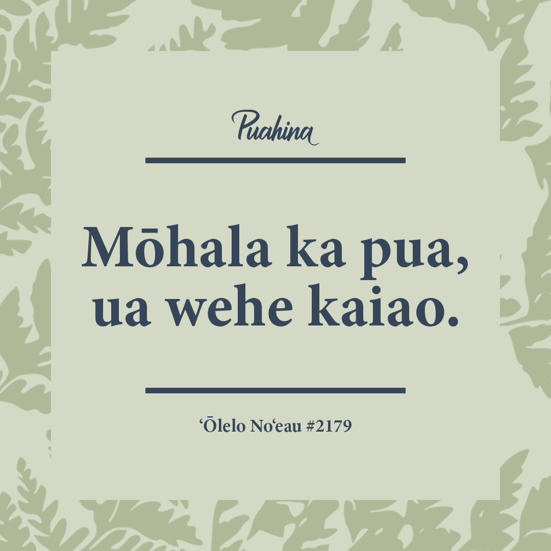 E lei kau, elei hoʻoilo i ke aloha. Love is worn like a wreath