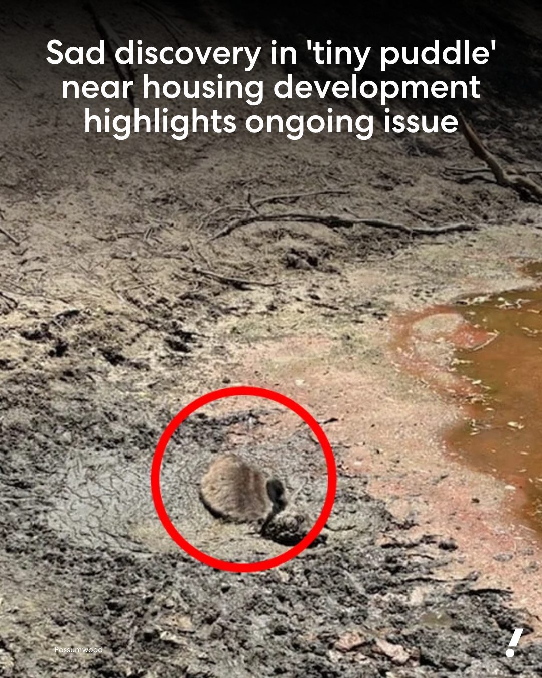 The discovery has led to a warning... - Yahoo News Australia | Facebook