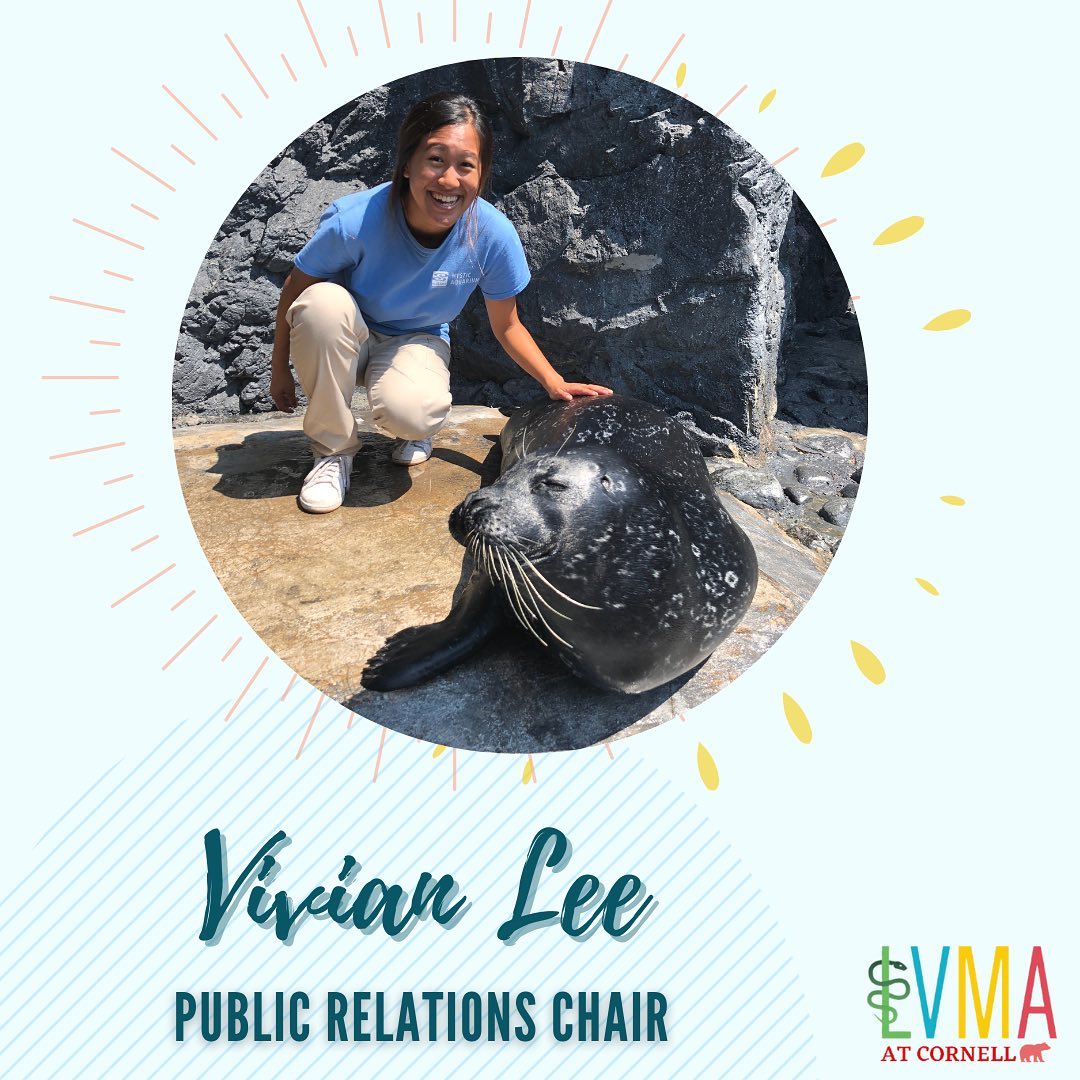 LVMA at Cornell - Last but not least, our final spotlight... | Facebook