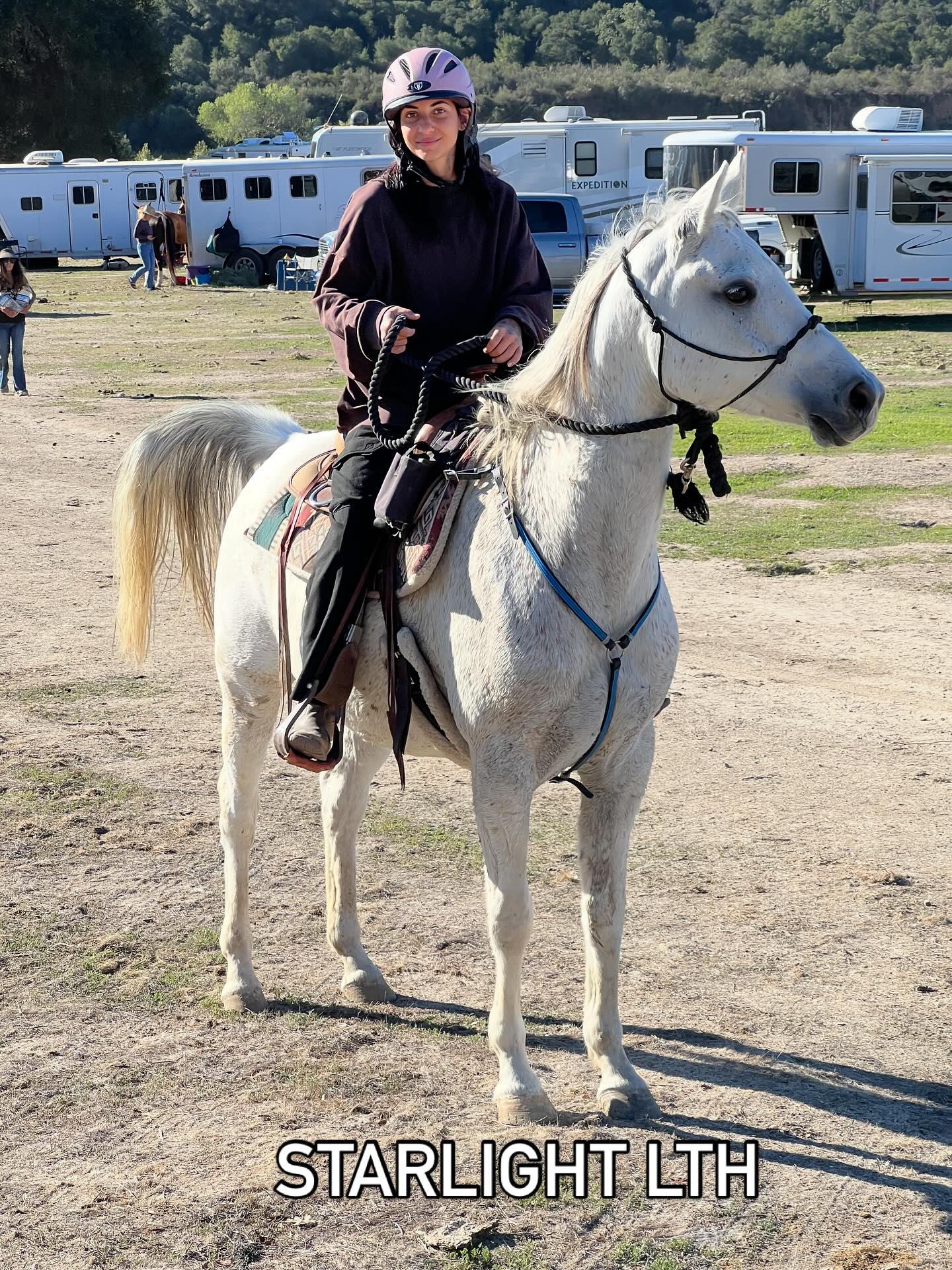 Starlight LTH has an... - Love this Horse, Equine Rescue Inc. | Facebook