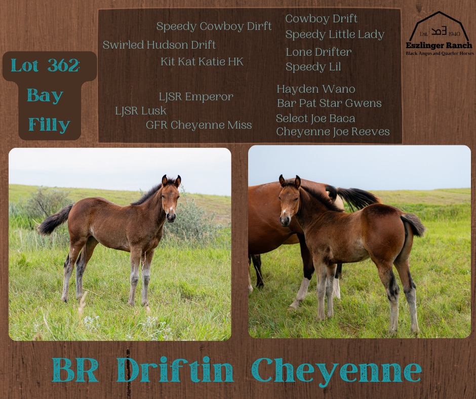 Eszlinger Ranch Black Angus and Quarter Horses