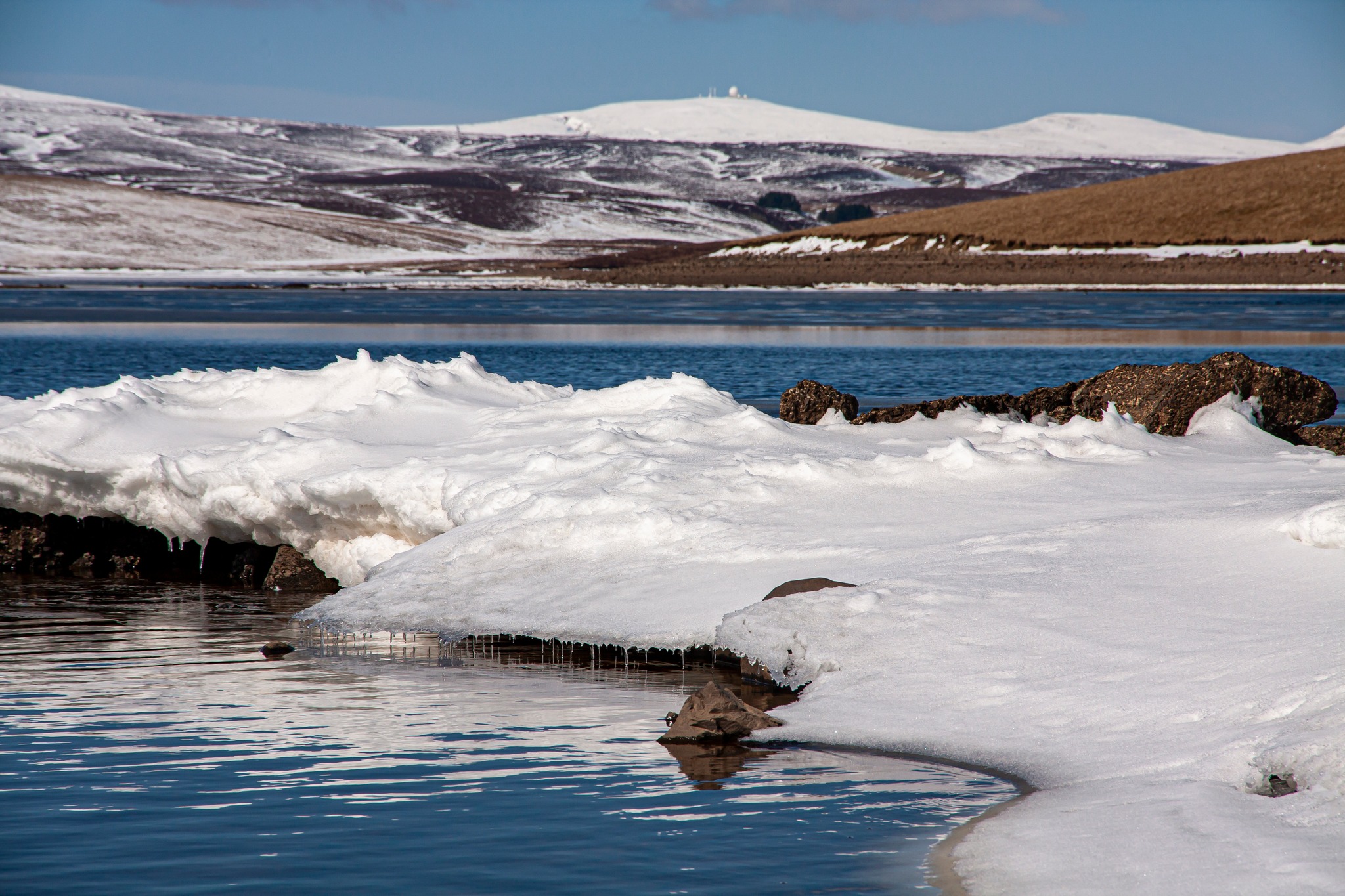 The Tees Rivers Trust added a new... - The Tees Rivers Trust