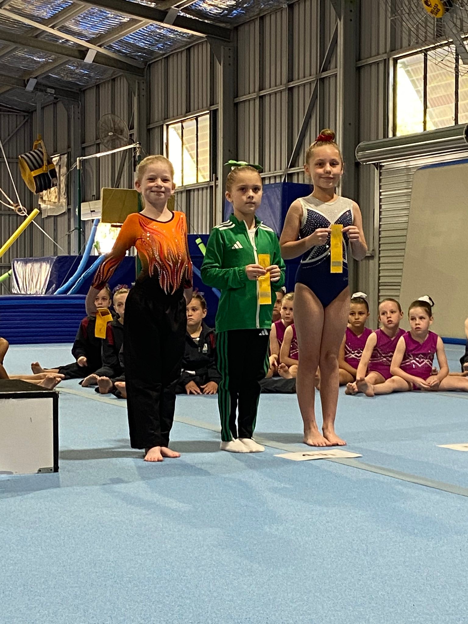 phoenix-gymnastics-added-a-new-photo-phoenix-gymnastics