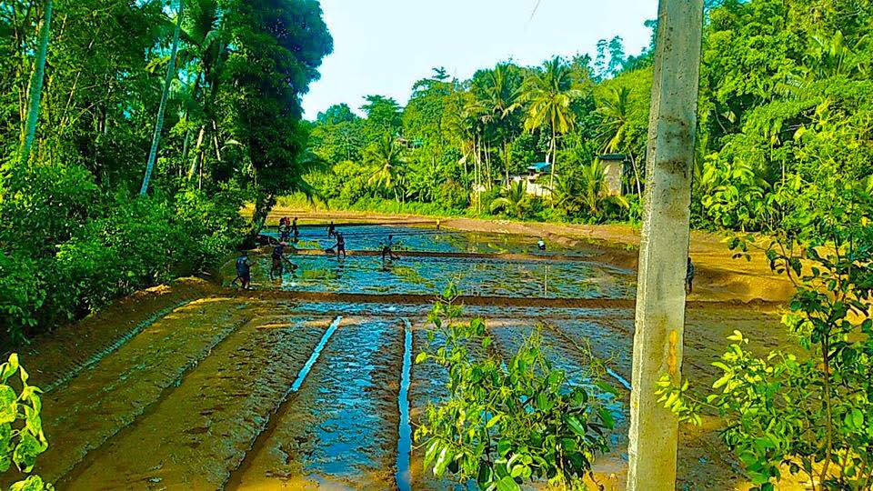 මාතර පුවත් - Matara Puwath... - මාතර පුවත් - Matara Puwath