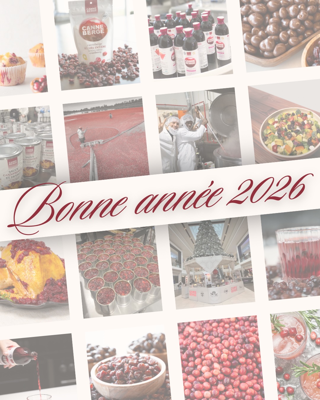 Complément Alimentaire Canneberge 30000 Mg - 120 Gélules, Santé Urinaire, Naturel, Coolkin
