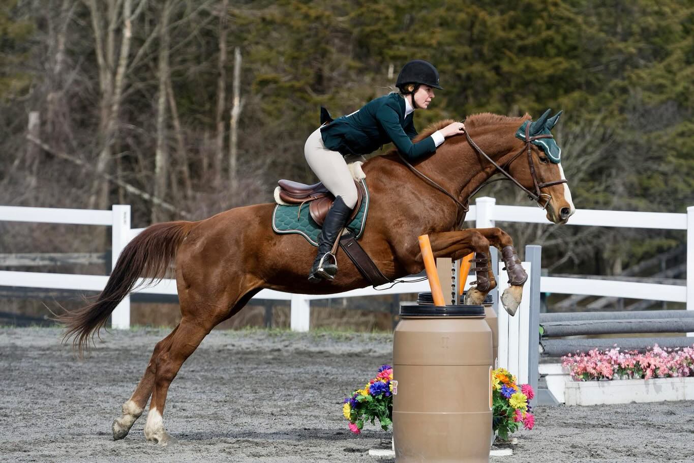 🌟 **Jump Into Your Tribe!** 🌟... - The Equestrian Collective | Facebook