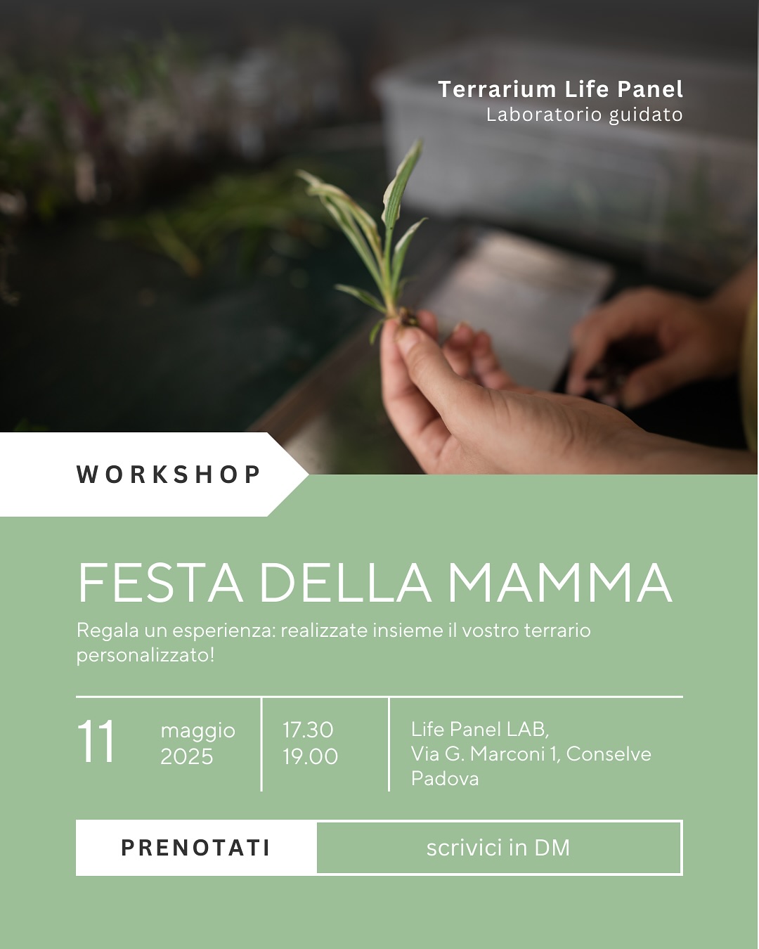 Life Panel - 🎨 Componi la tua opera d'arte vivente con il #minigiardino ...