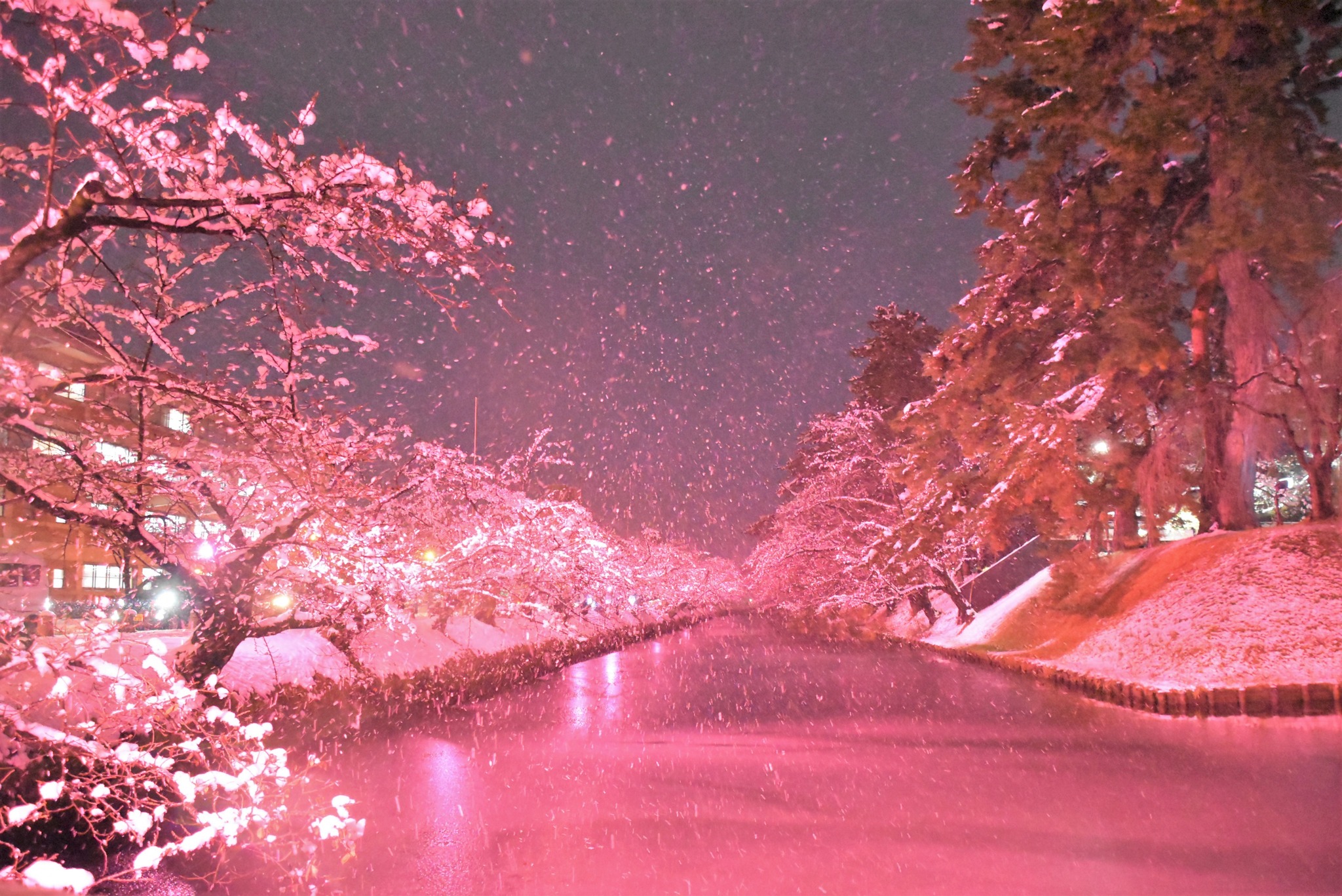 弘前市（Hirosaki City) added a new photo. - 弘前市（Hirosaki City)