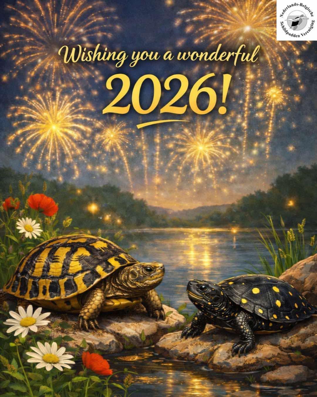 Gelukkig... - Nederlands-Belgische Schildpadden Vereniging | Facebook