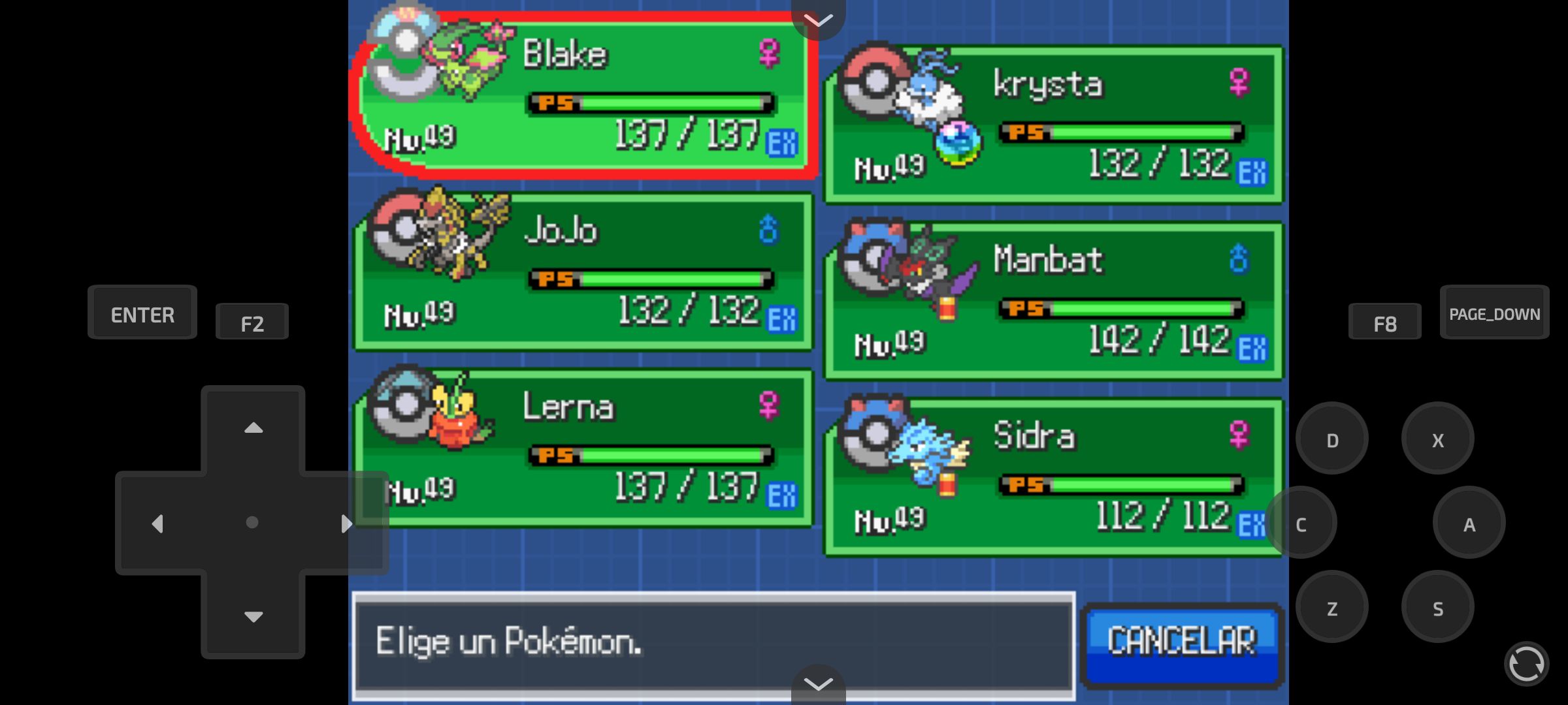 pokemon-anil-mis-chavos-as-qued-el-equipo-en-el-monotipo-drag-n