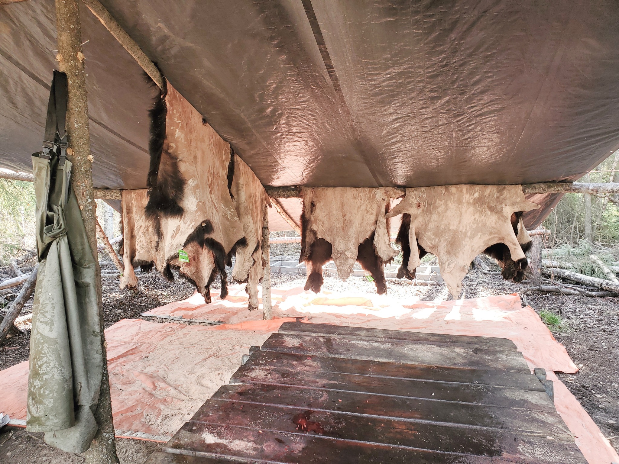 Epic Outfitting Ltd. | Bluffton AB