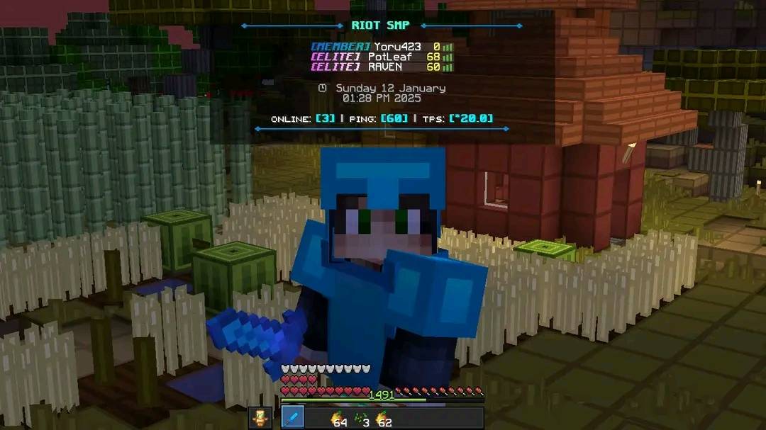 Minecraft survival | 🌲Riot Smp🌲 | Facebook