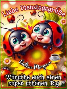 Lustige Bilder & Videos zum Lachen | Facebook