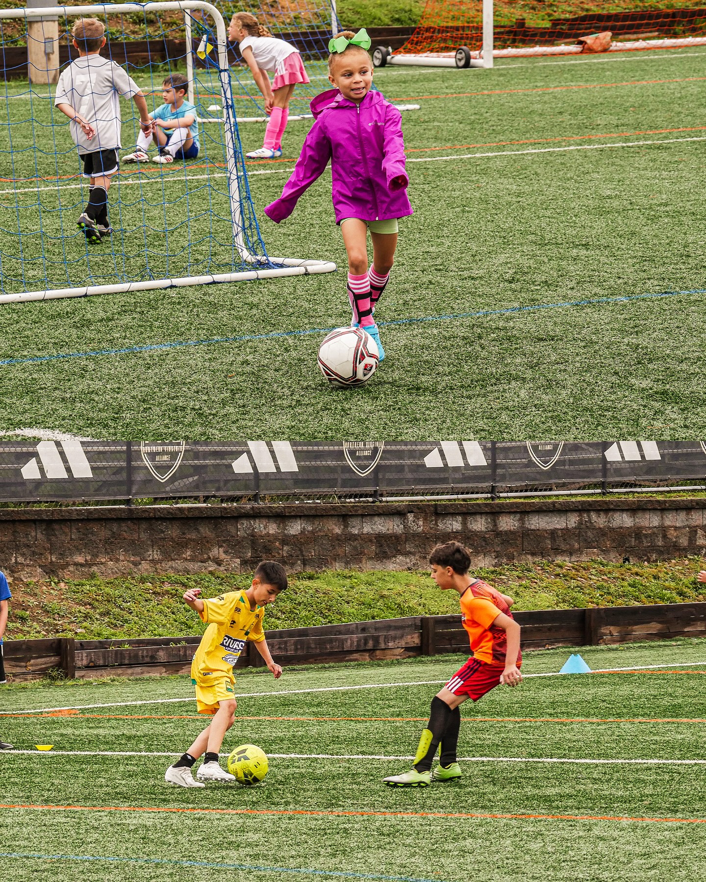 Loudoun Soccer