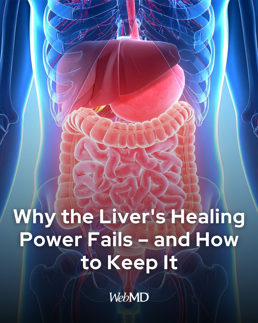 New research sheds light on how alcohol damages the liver, providing hope for new therapies