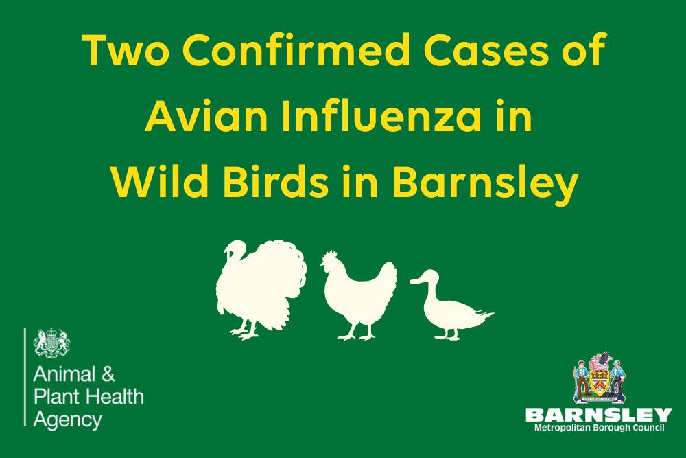 Barnsley - We have been notified by DEFRA that two dead wild birds ...