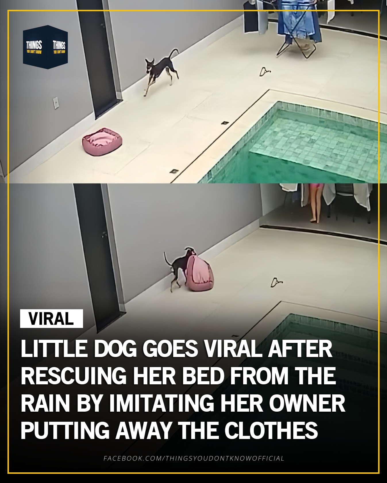 Things - A security camera captured an unexpectedly smart moment that ...