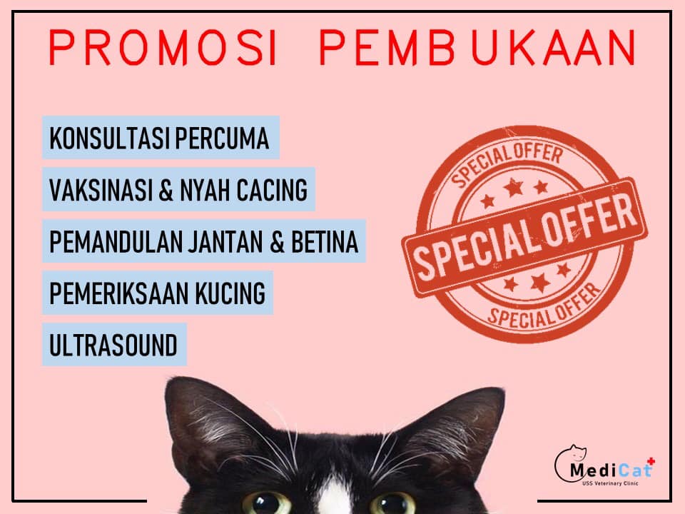 Assalamualaikum Hai Medicat Veterinar Dan Surgeri Facebook