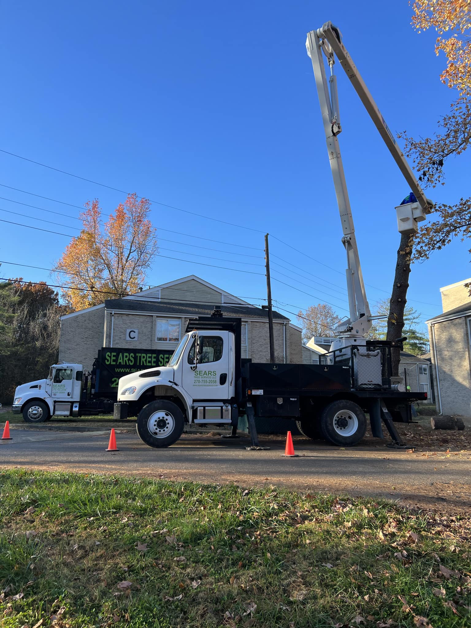 Sears Tree Service, LLC | Lewisburg KY