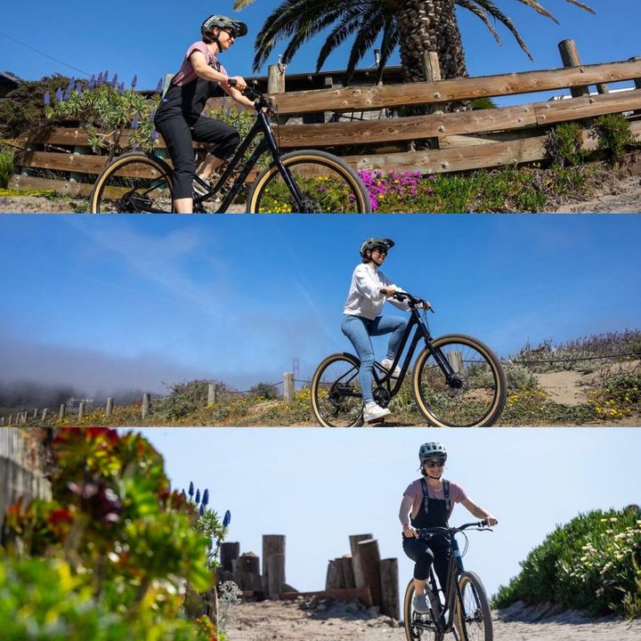 Chucks - The @marinbikes Stinson is an updated take on the classic ...