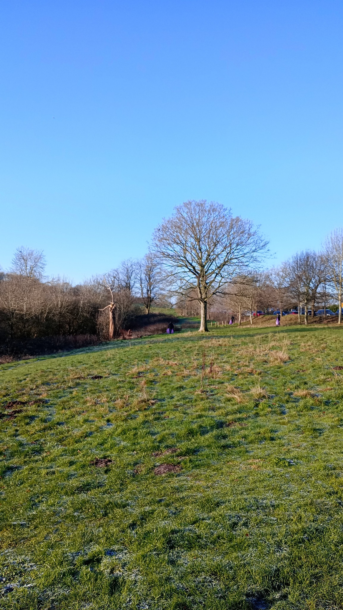 Friends of Colwick Woods Local Nature Reserve | Nottingham
