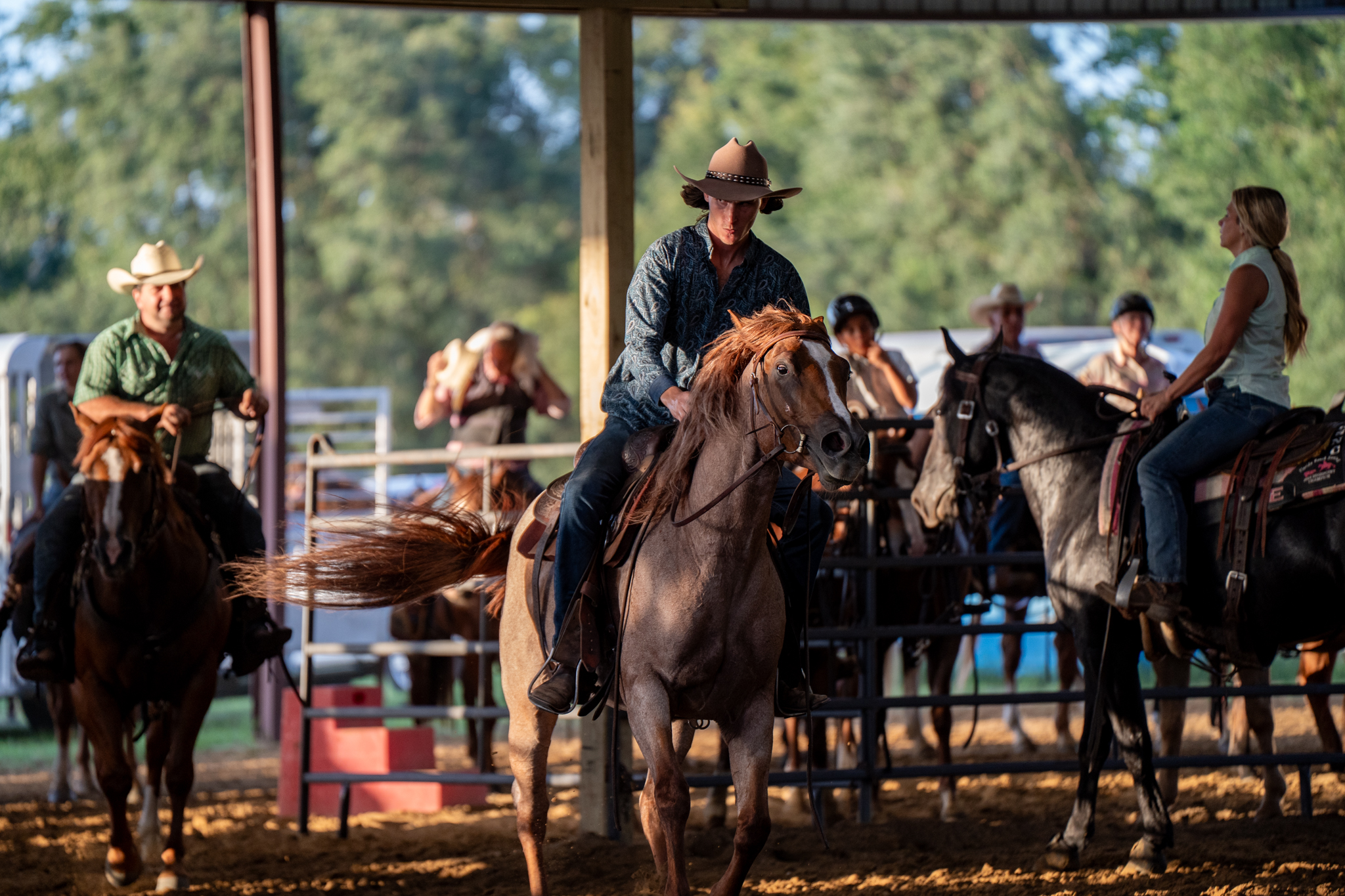 Southern Ranch Sorting added a... - Southern Ranch Sorting