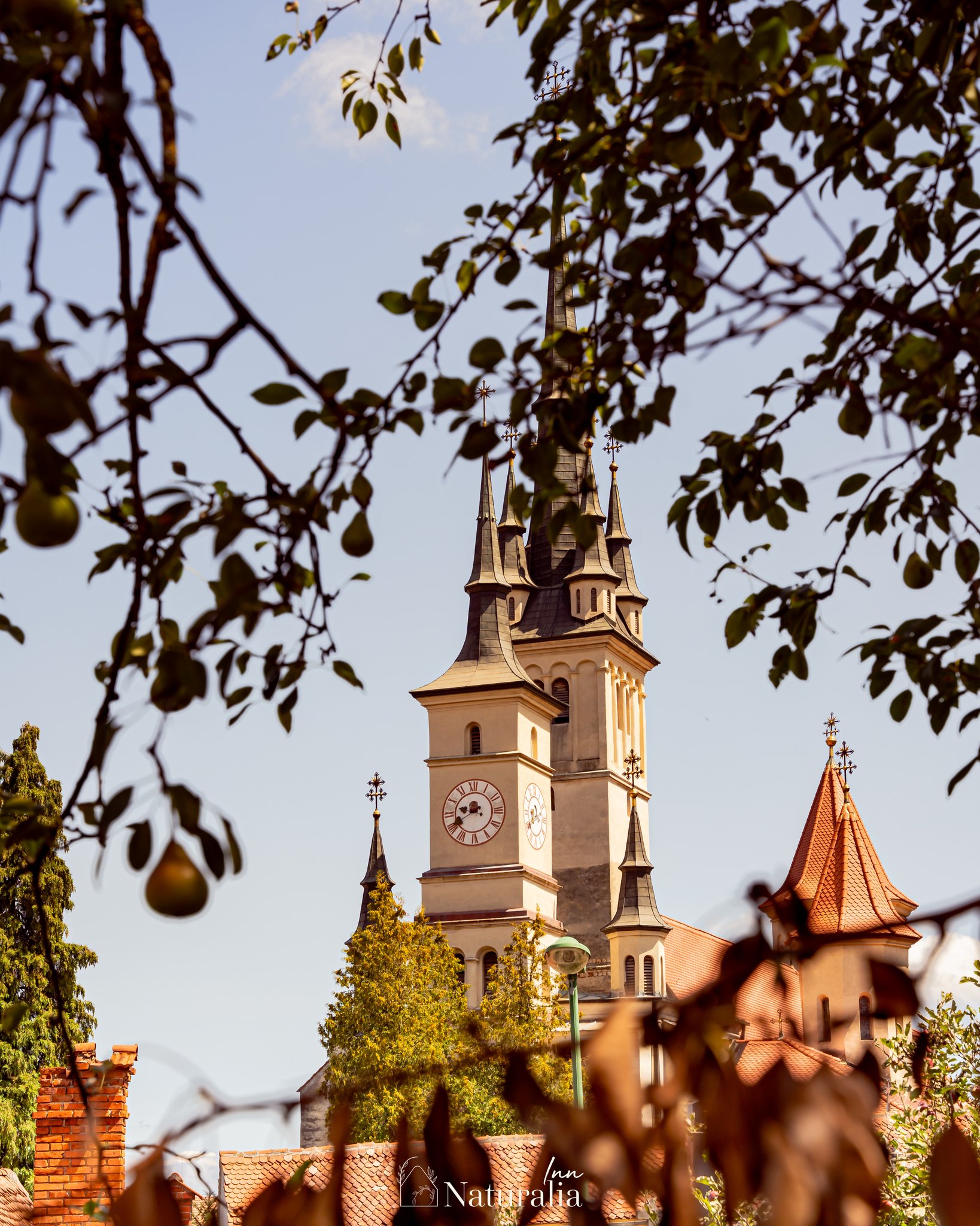 Naturalia Inn | Brasov