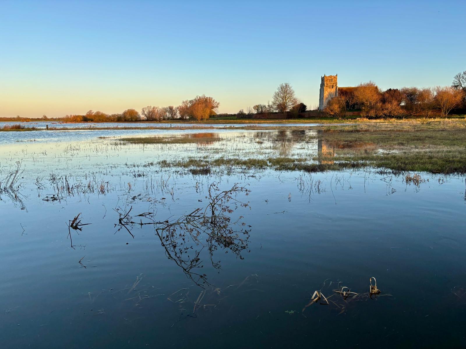 Lower Derwent Valley & Skipwith Common NNR | York