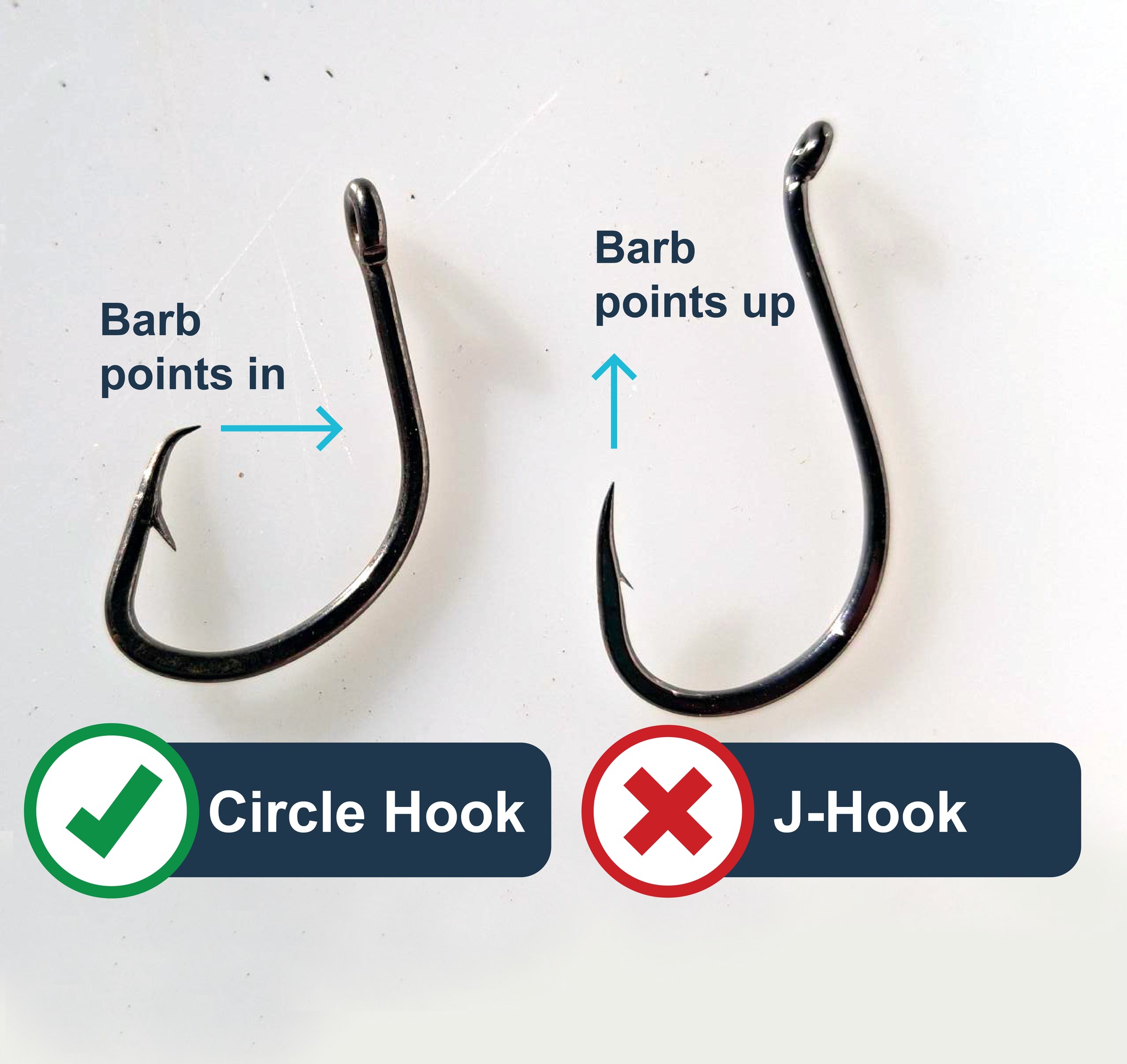 catching fish on circle hooks Max-Catch 12/0 Stainless Steel | 12 0 Circle Hooks Catfish Hooks,Octopus Circle Hooks for