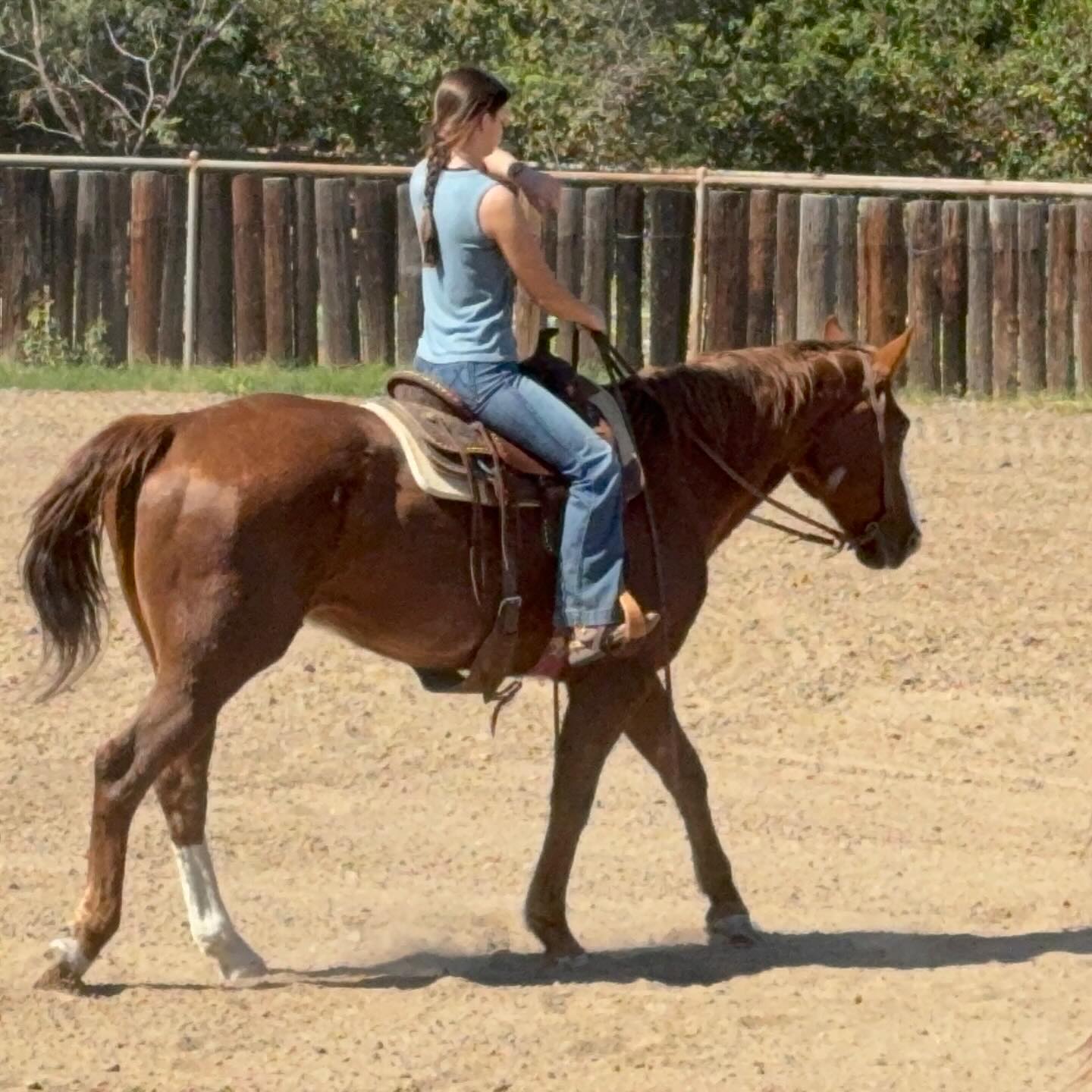TnT Ranch & Tom Davis... - TnT Ranch & Tom Davis Horsemanship