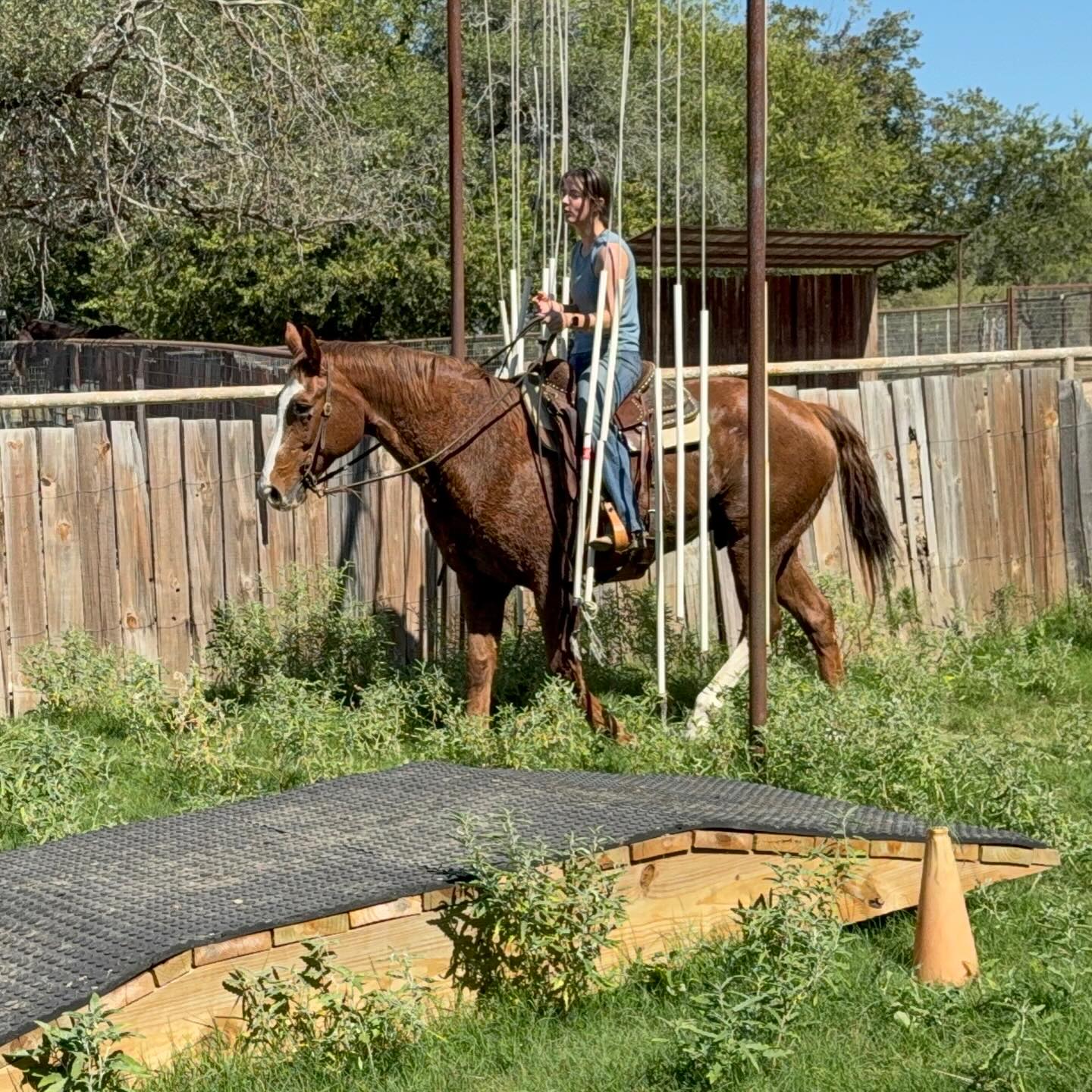 TnT Ranch & Tom Davis... - TnT Ranch & Tom Davis Horsemanship