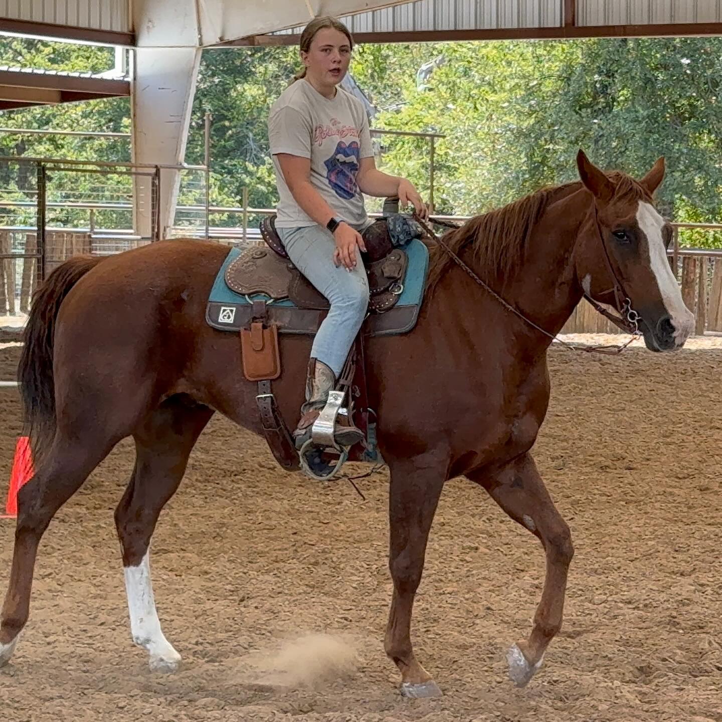 TnT Ranch & Tom Davis... - TnT Ranch & Tom Davis Horsemanship