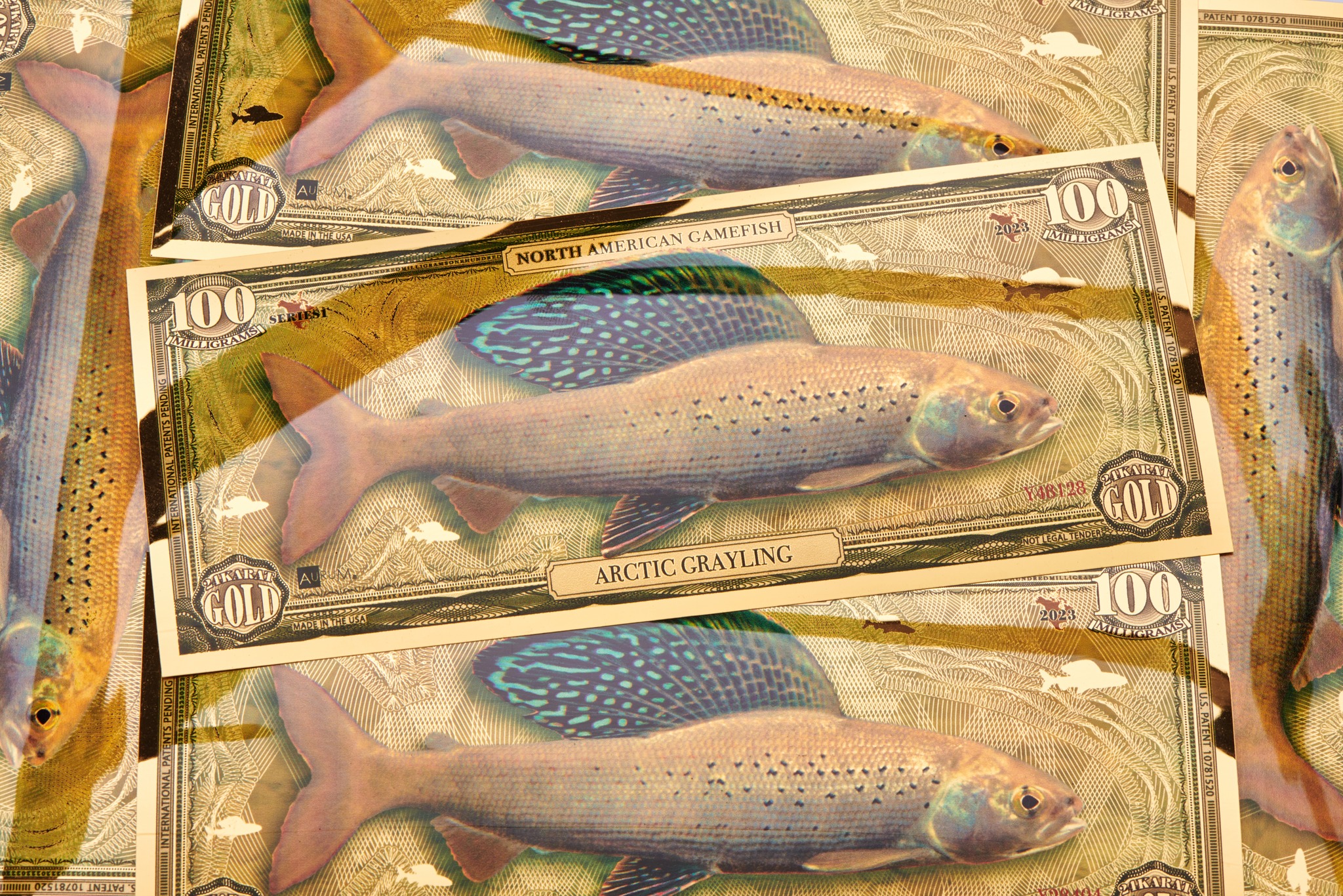 Valaurum, Inc. - The 100 milligram Arctic Grayling Aurum®... | Facebook