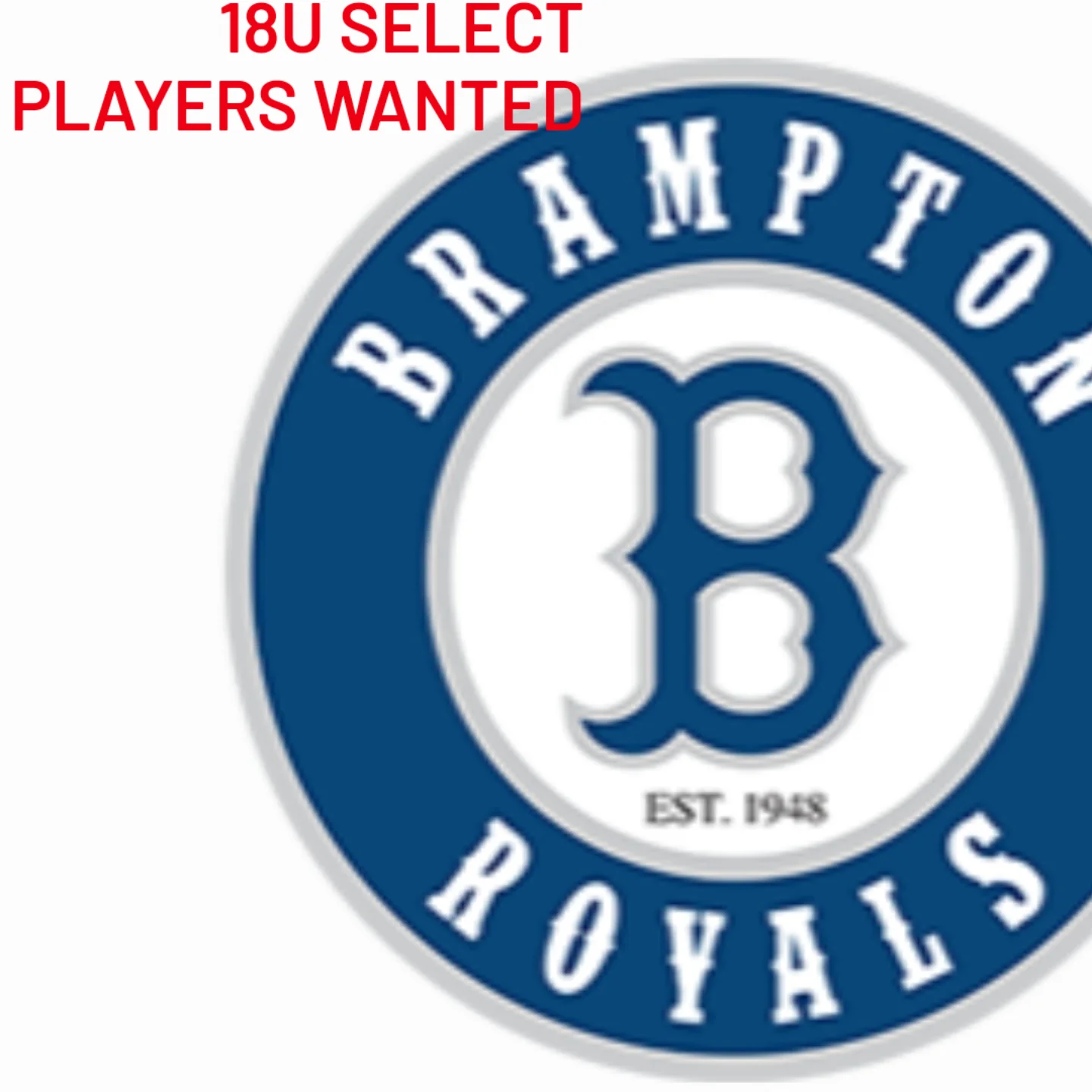 Brampton Minor Baseball Inc