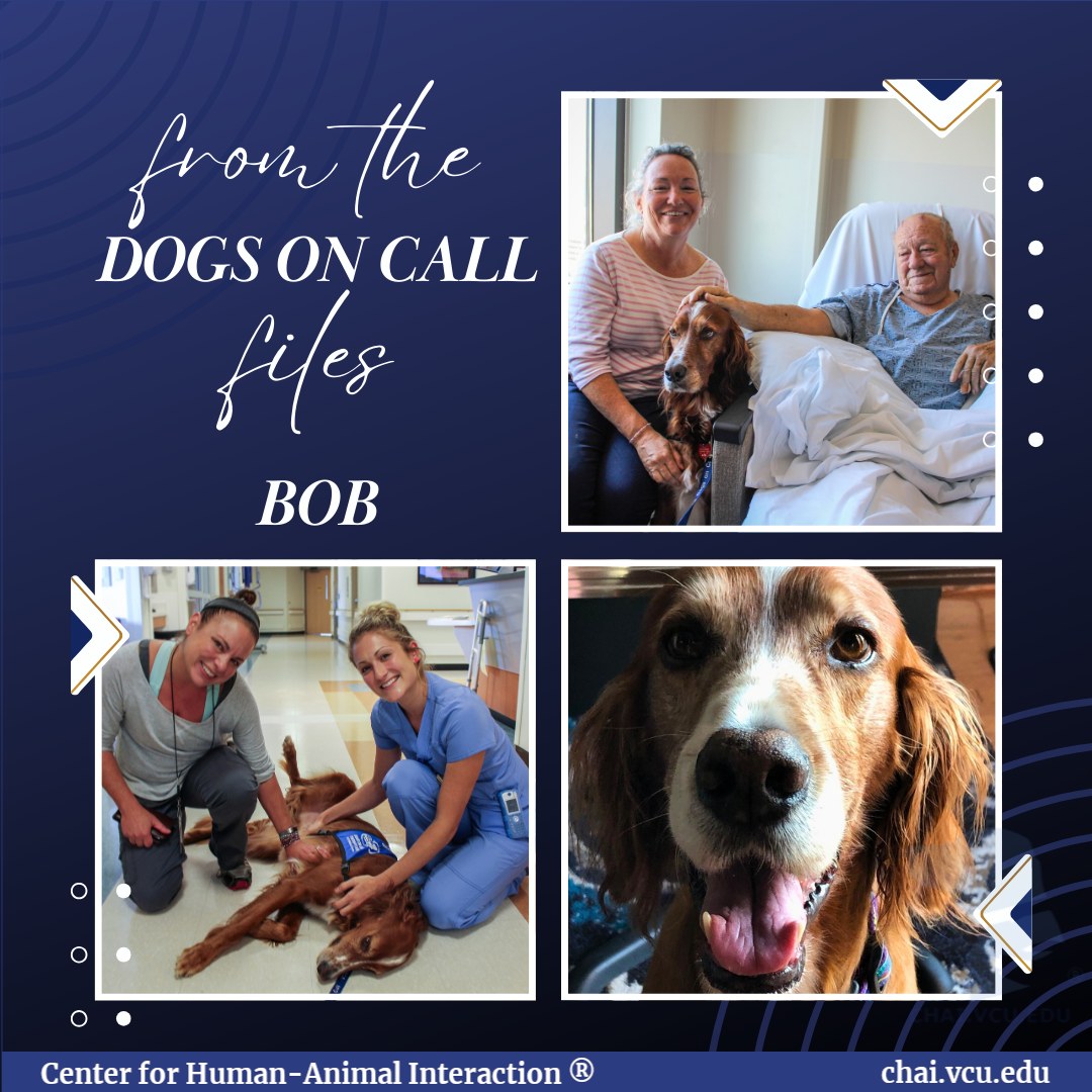 Dogs - Once when Steve and his dog Bob entered a child's room, their ...