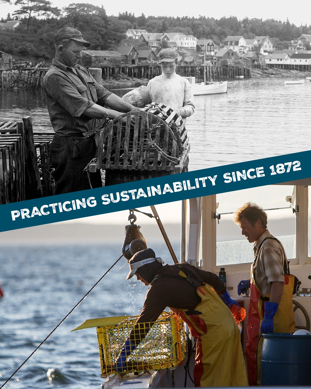 Lobster - Generations on the water, always sustainably minded. Learn ...
