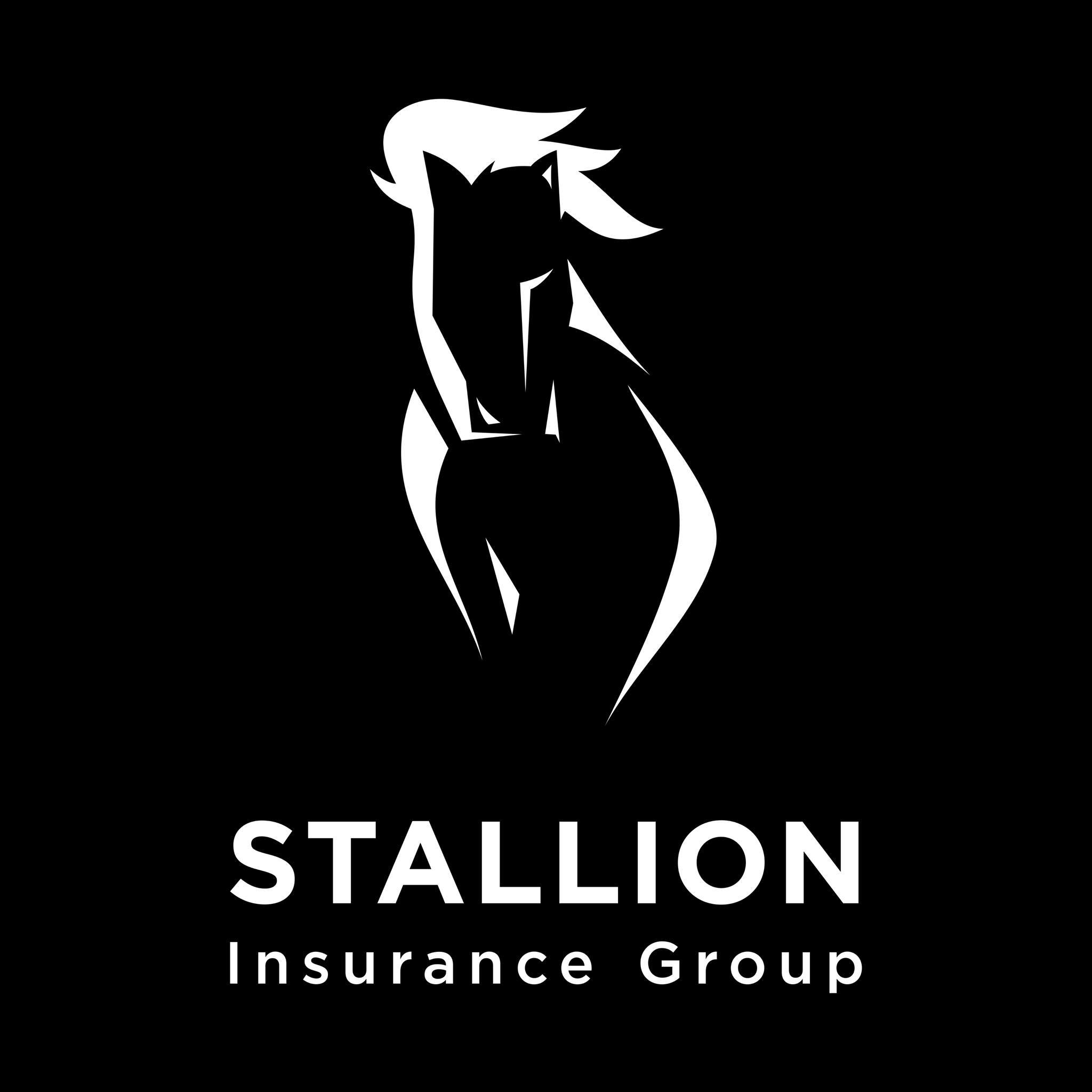 Stallion Insurance Group | Eden Prairie MN