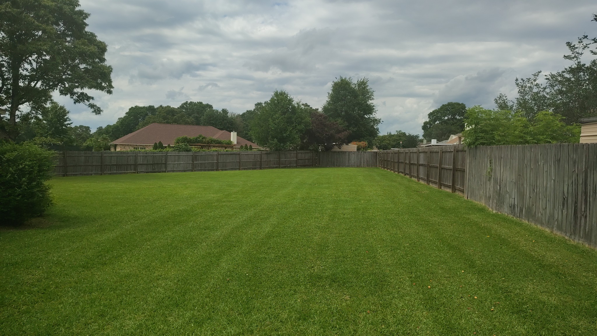 Cutting Edge Lawn Care... - Cutting Edge Lawn Care Pensacola