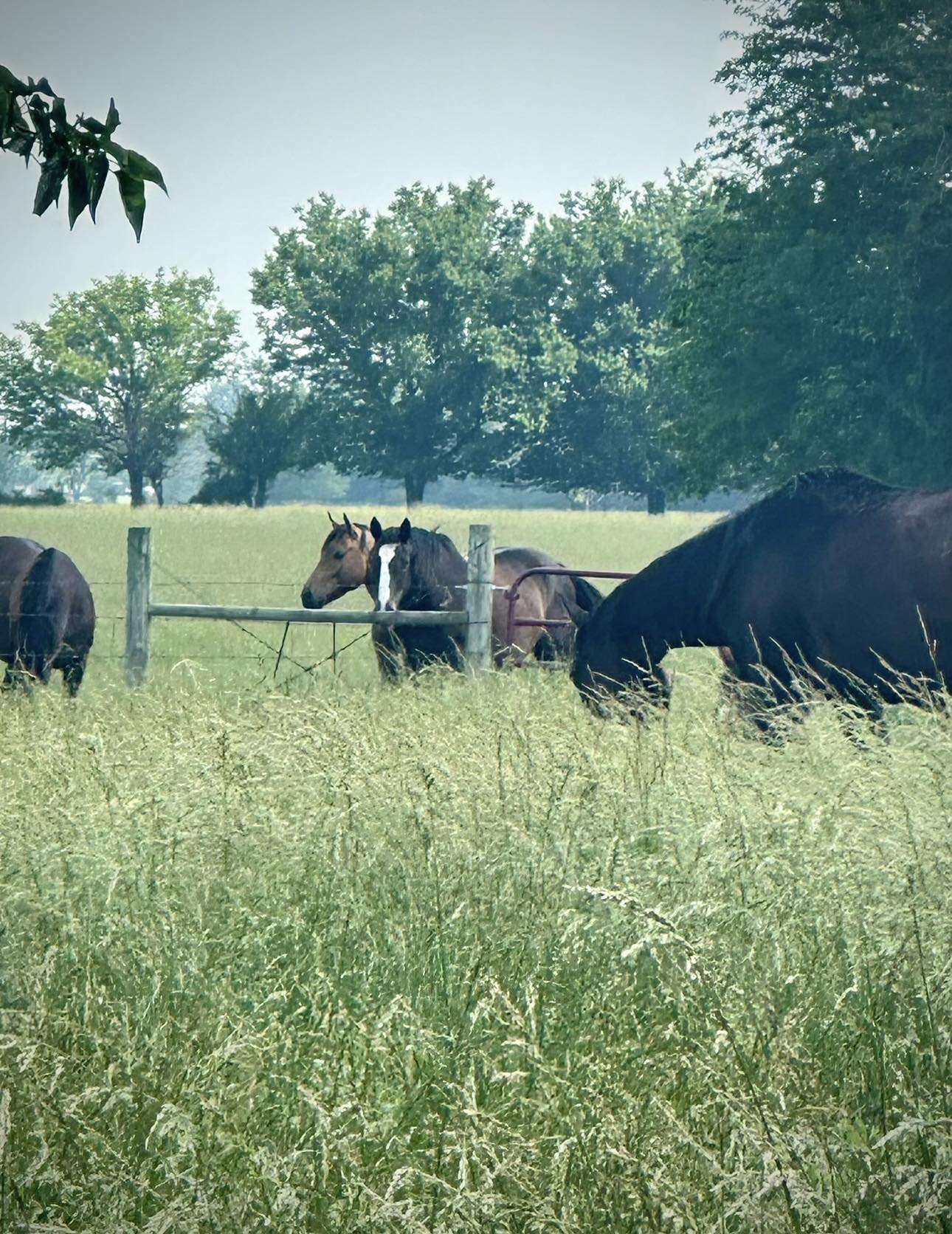 Cross R Ranch & Corral | Oktaha OK
