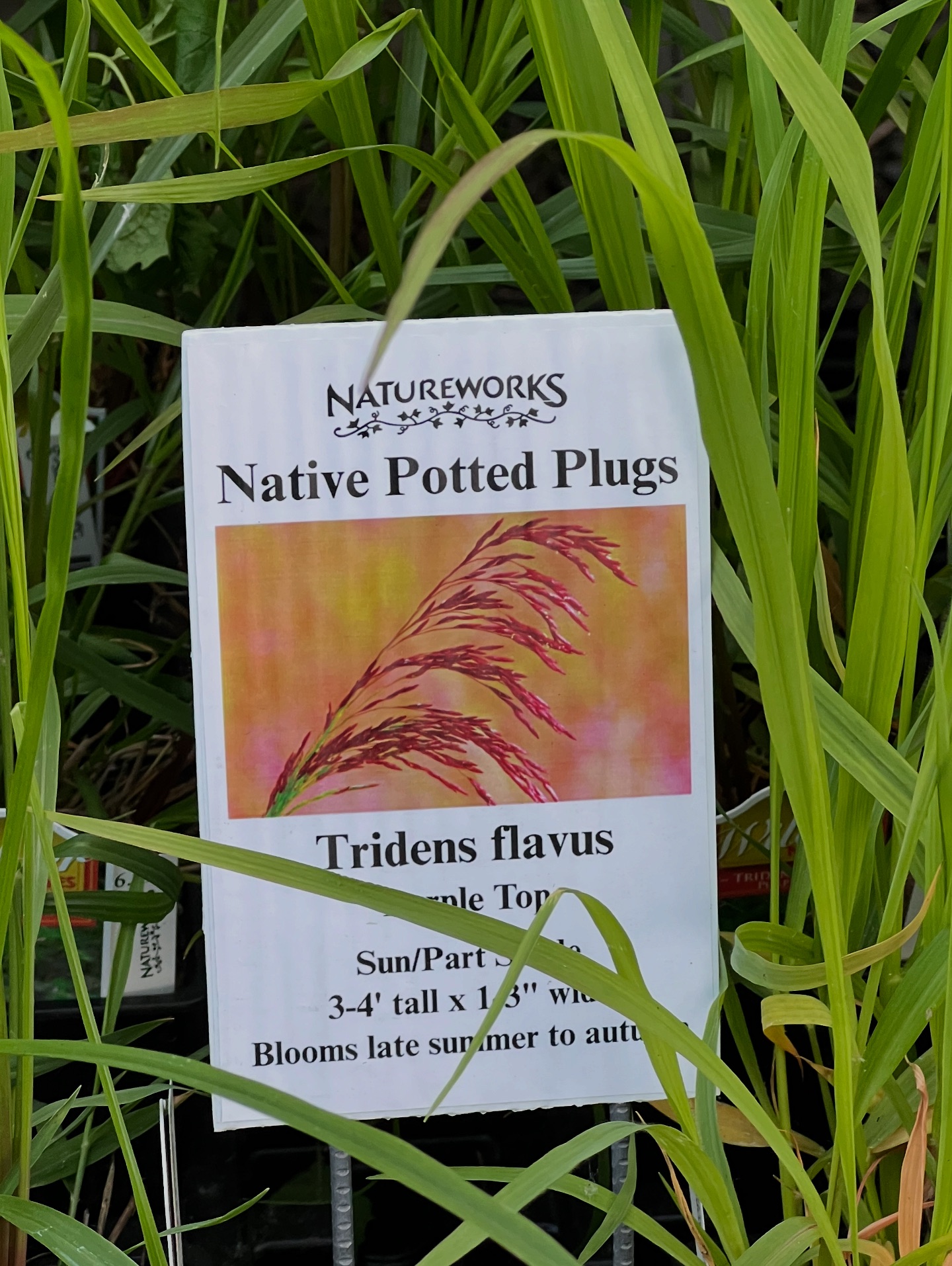 Natureworks Organic... - Natureworks Organic Garden Center