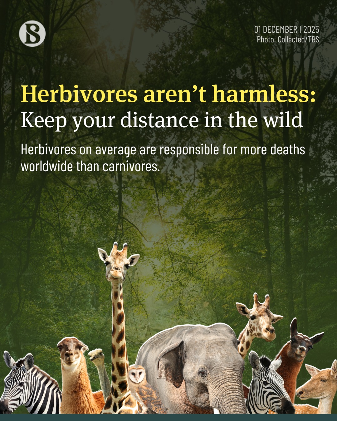 Predators usually carry the... - The Business Standard | Facebook