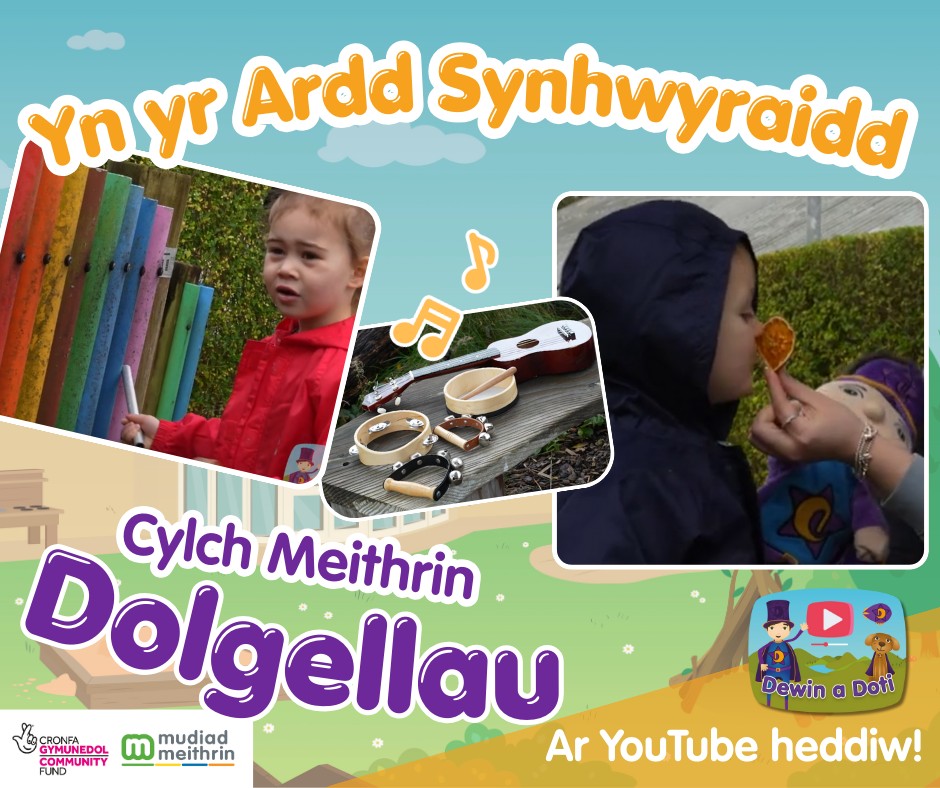 Mudiad Meithrin... - Mudiad Meithrin De Orllewin / Canolbarth