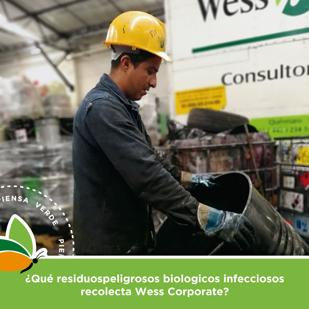 Wess - ¿Qué de RPBI maneja Wess Corporate? -No anatomicos ...
