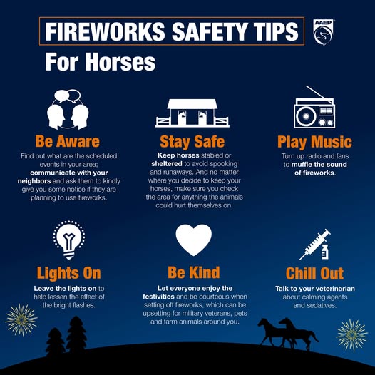 Cave Creek Equine Hospital/Sports Medicine & Surgery | Phoenix AZ